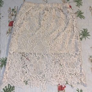 Gorgeous San Souci Lace Skirt w/ sheath